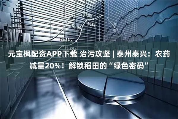 元宝枫配资APP下载 治污攻坚 | 泰州泰兴：农药减量20%！解锁稻田的“绿色密码”
