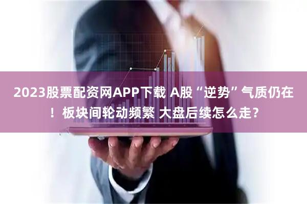 2023股票配资网APP下载 A股“逆势”气质仍在！板块间轮动频繁 大盘后续怎么走？