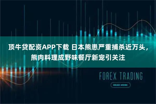顶牛贷配资APP下载 日本熊患严重捕杀近万头，熊肉料理成野味餐厅新宠引关注
