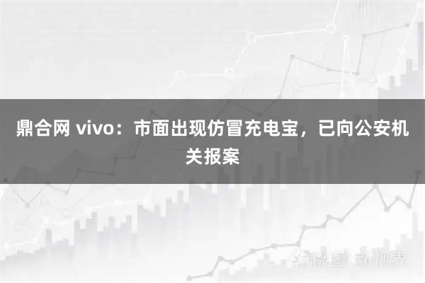 鼎合网 vivo：市面出现仿冒充电宝，已向公安机关报案