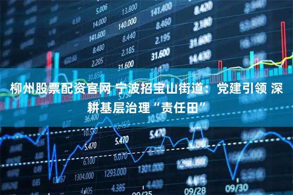 柳州股票配资官网 宁波招宝山街道：党建引领 深耕基层治理“责任田”
